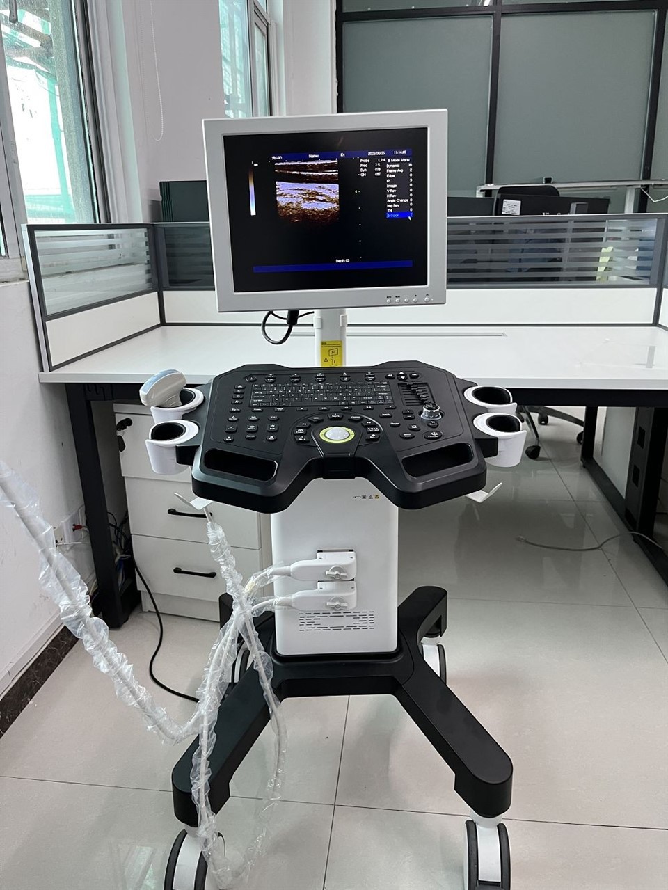 CS009 Handheld Black and White Ultrasound Machine - Trolley-Mounted Full-Digital Diagnostic System (3)(001)